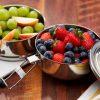Raja 2-Tier Tiffin Lunch Box